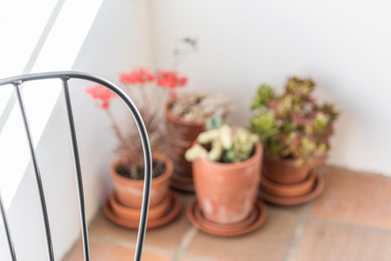 Guestready - Cactus Balcony - Free Private Parking Διαμέρισμα Πόρτο Εξωτερικό φωτογραφία